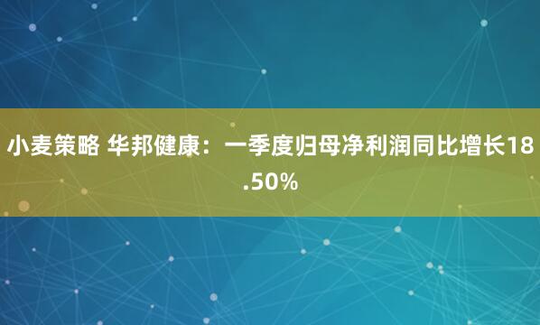 小麦策略 华邦健康：一季度归母净利润同比增长18.50%