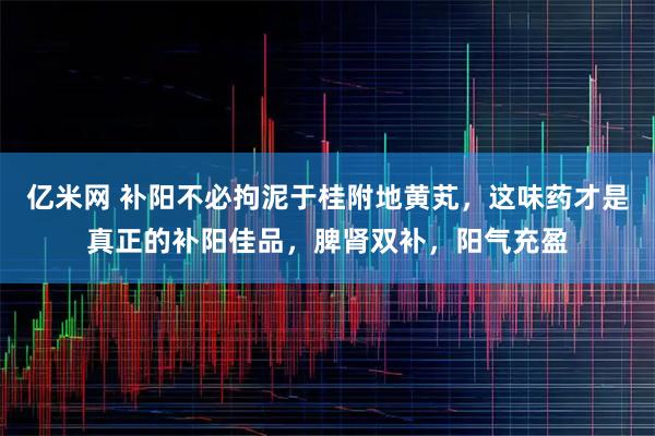 亿米网 补阳不必拘泥于桂附地黄芄，这味药才是真正的补阳佳品，脾肾双补，阳气充盈